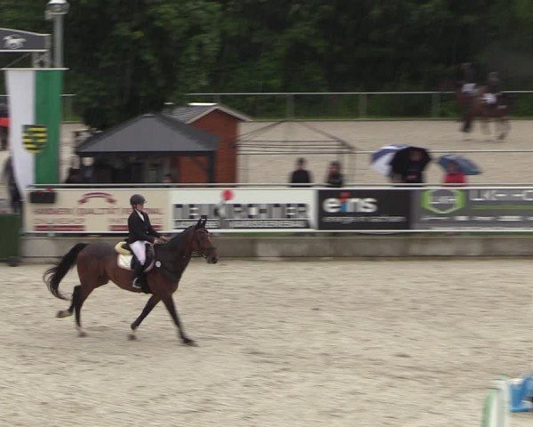 Reitturnier Dorfchemnitz 2024