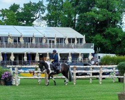 jumper San Franzisko 10 (German Sport Horse, 2005, from Samenco II K)