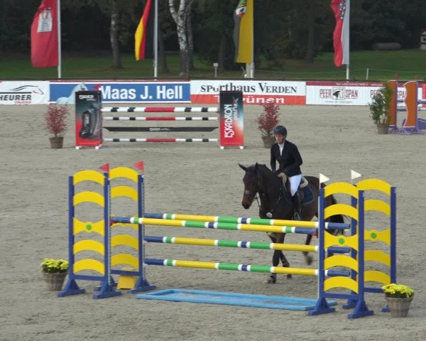 Reitturnier Westergellersen 2021