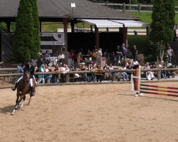 Reitturnier Berching/Opf. 2024