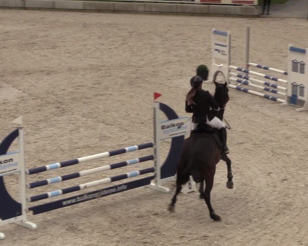 Reitturnier Dorfchemnitz 2024