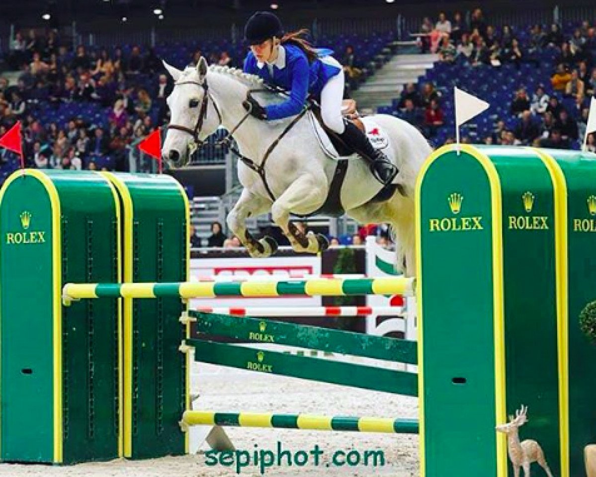 stallion Rohirrim Palija (French Pony, 2005, from Cyrano Pondi)