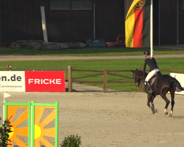 Reitturnier Westergellersen 2021