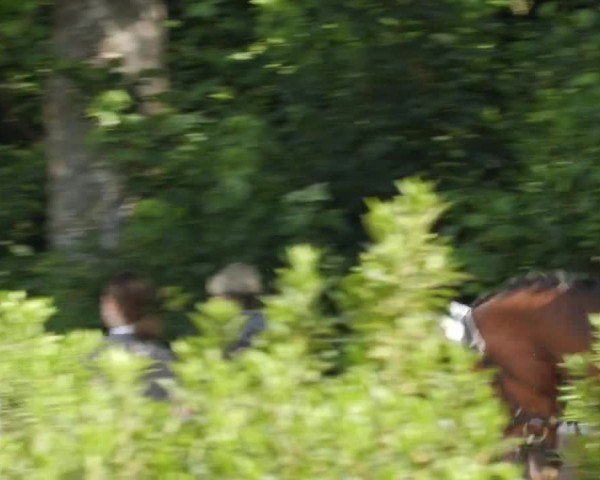 Reitturnier Winnenden 2024
