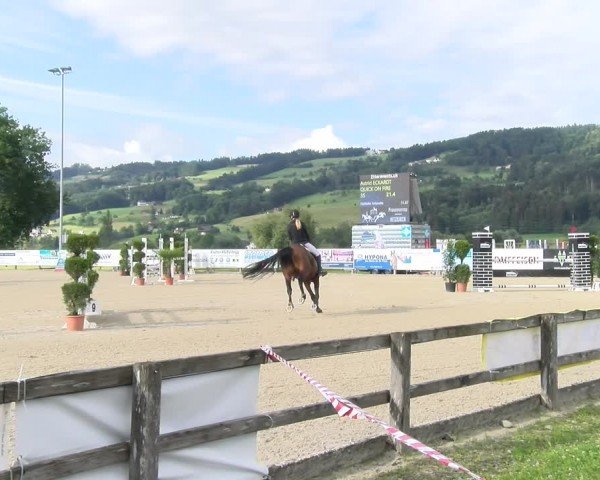 Reitturnier Hitzkirch 2024