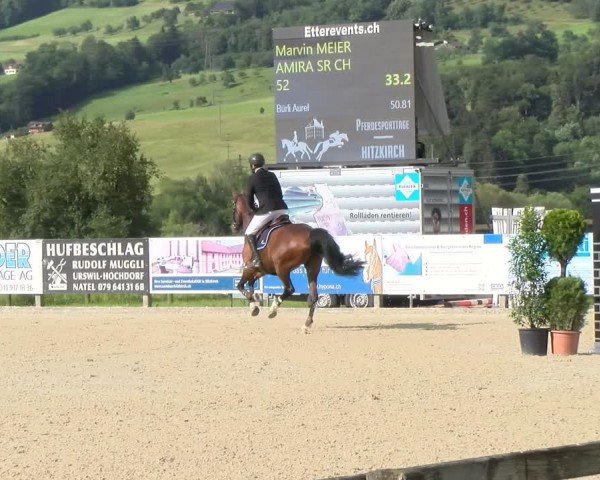 Reitturnier Hitzkirch 2024