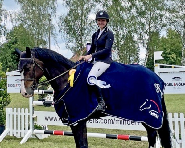 jumper Cosma 71 (German Sport Horse, 2017, from Carleyle)