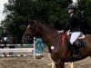 jumper Lonely Crazy Lover (Hanoverian, 2016, from Light my Fire)