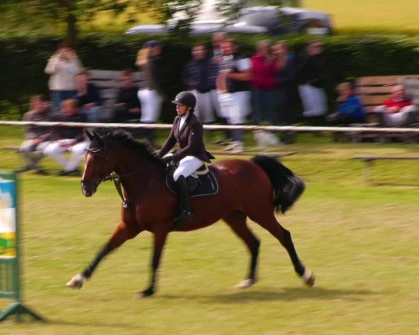 Reitturnier Wingerode 2024