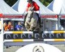 jumper Snoopy de Bonjac (French Pony, 2006, from Dandy des Mauvis)