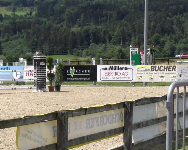 Reitturnier Hitzkirch 2024