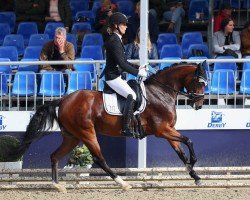 dressage horse Mini Minou (German Riding Pony, 2019, from Vegas)