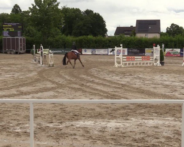 Reitturnier Fröndenberg 2024