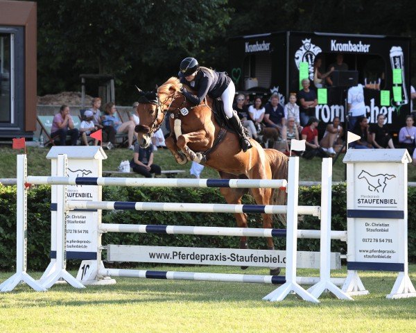 jumper Gepsina (Oldenburg show jumper, 2015, from Gepsom)