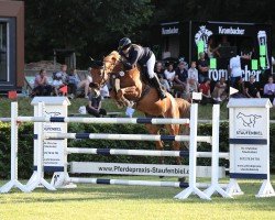 jumper Gepsina (Oldenburg show jumper, 2015, from Gepsom)