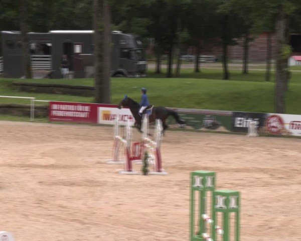 Reitturnier Stadl-Paura 2024