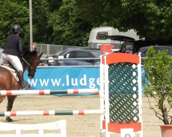Reitturnier Winnenden 2024
