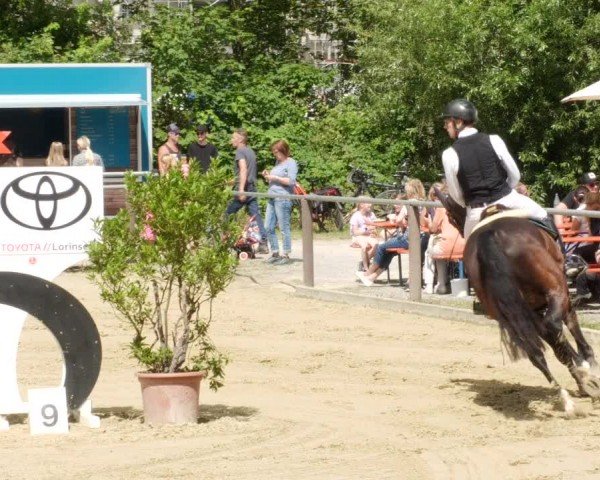 Reitturnier Winnenden 2024