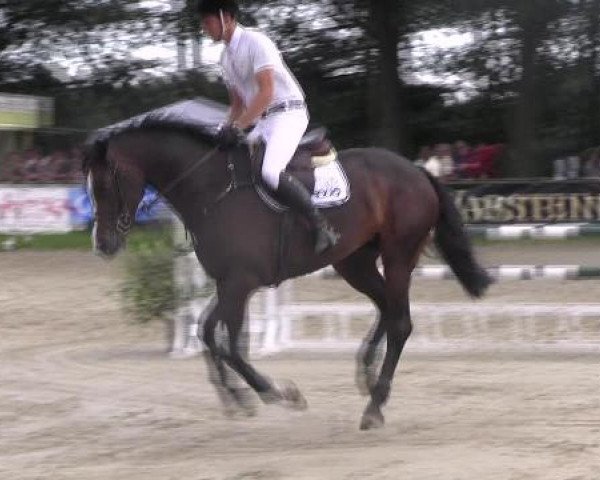 Datteln 2012