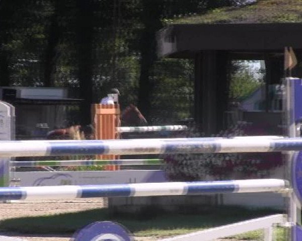 Datteln 2012