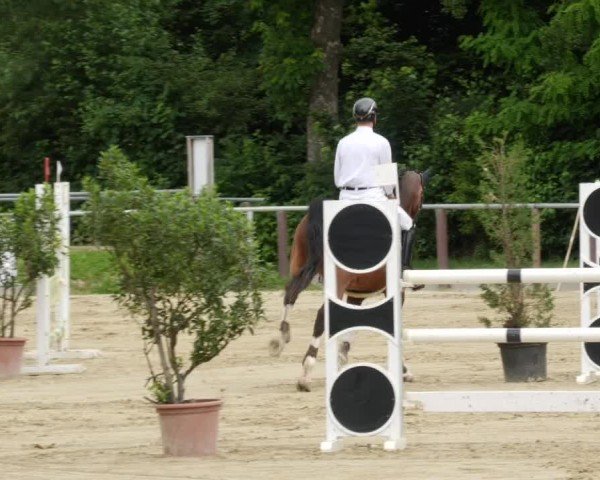 Reitturnier Winnenden 2024