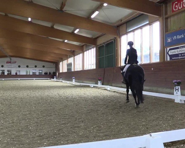 Reitturnier Coesfeld/Lette 2024