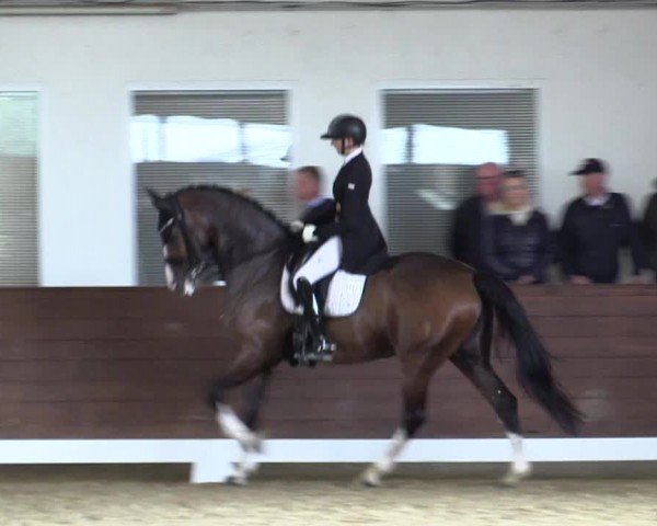 Reitturnier Coesfeld/Lette 2024