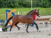 dressage horse Kastanienhof Sternenzauber (German Riding Pony, 2021, from Double Jackpot)