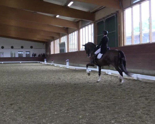 Reitturnier Coesfeld/Lette 2024