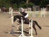 jumper Dorfjunge 11 (Hanoverian, 2020, from Dialo)