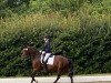 broodmare Willow D'Alêne (Luxembourg horse, 2015, from Follow Me OLD)