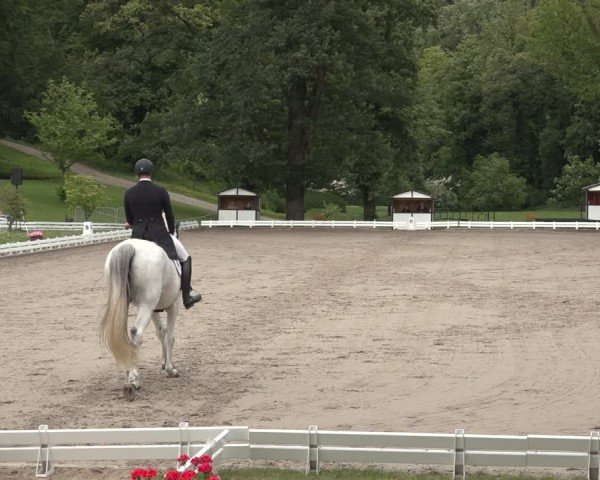 Reitturnier Nörten-Hardenberg 2024