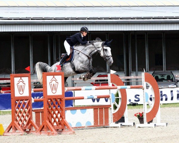 jumper Dalton 23 (Zangersheide riding horse, 2009, from Darco)