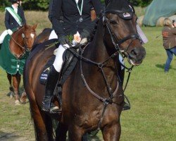 jumper Commissario K (German Sport Horse, 2007, from Cassaro 5)