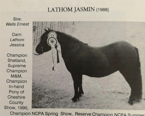 broodmare Lathom Jasmin (Shetland Pony, 1988, from Wells Ernest)