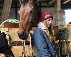 Pferd Abby (Irish Sport Horse, 2015, von Porsch)