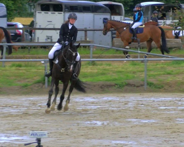 Reitturnier Coesfeld/Lette 2024