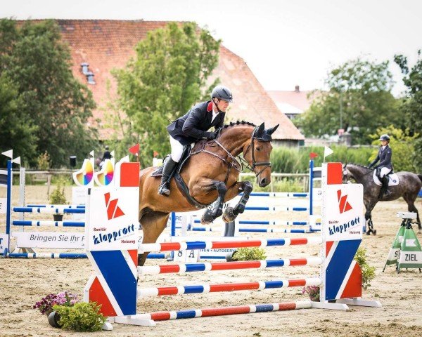 jumper Zoubalou (Hanoverian, 2019, from Zinedream)