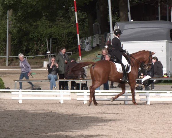 Reitturnier Fröndenberg 2024