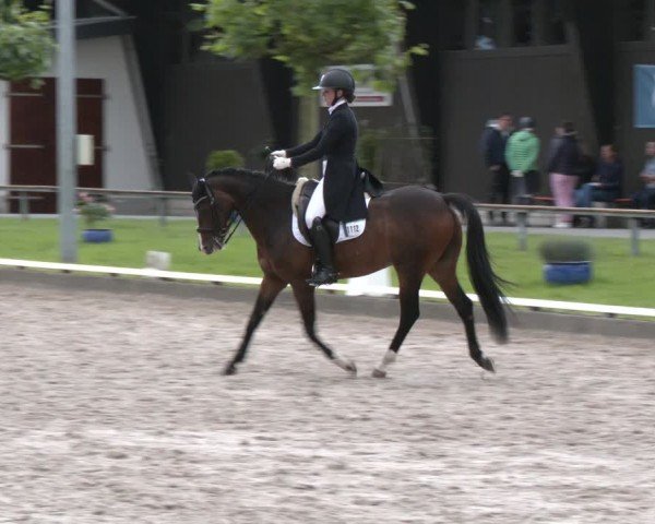 Reitturnier Fröndenberg 2024