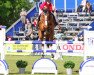 jumper Bareno (Oldenburg show jumper, 2008, from Balou du Rouet)