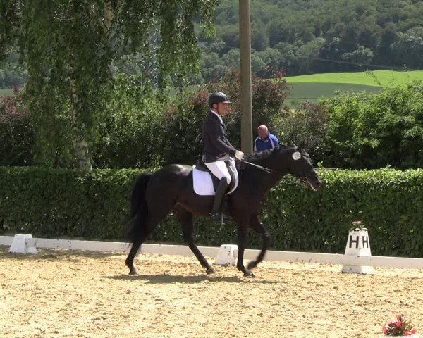 Reitturnier Wingerode 2024