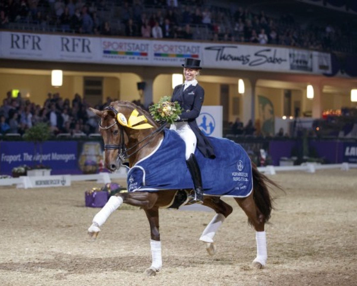 Deckhengst Vitalis (KWPN (Niederländisches Warmblut), 2007, von Vivaldi)