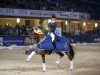 stallion Vitalis (KWPN (Royal Dutch Sporthorse), 2007, from Vivaldi)