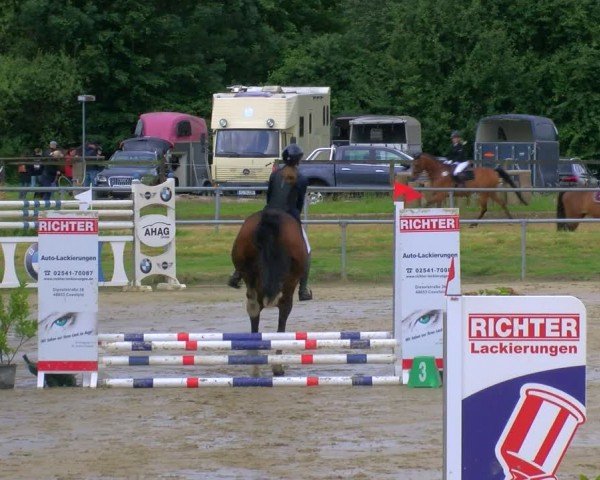 Reitturnier Coesfeld/Lette 2024