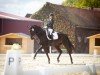 dressage horse For Magic Moments 4 (Westphalian, 2015, from Franziskus FRH)