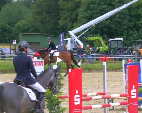 Reitturnier Coesfeld/Lette 2024