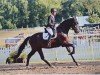 dressage horse Stettin 8 (German Sport Horse, 2019, from Blue Hors St. Schufro)