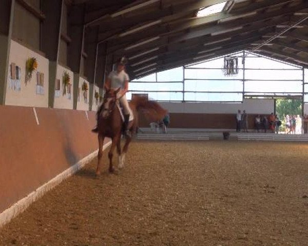 Datteln 2012
