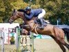 jumper Match Point PS (Hanoverian, 2016, from HH Messenger)